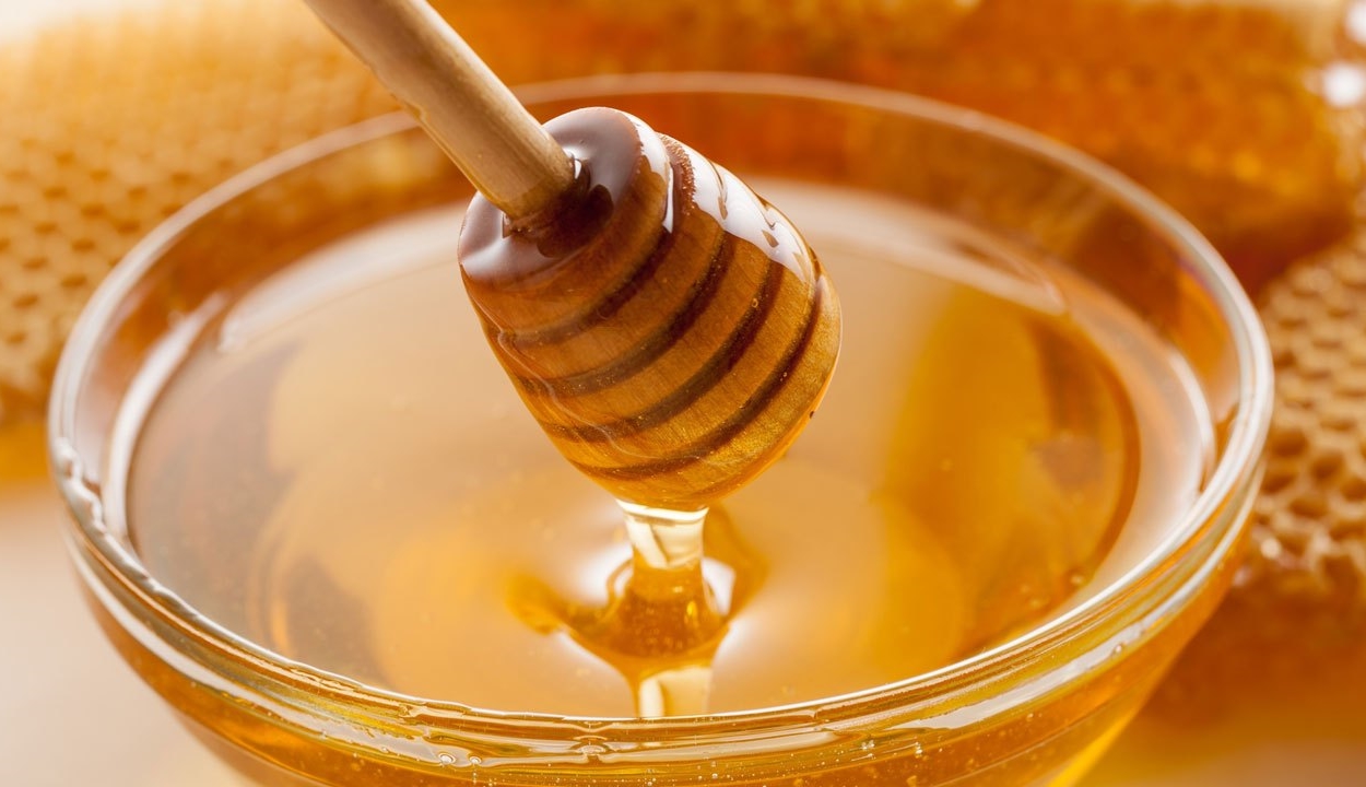 Méhek közreműködése nélkül készítettek mézet izraeli diákok