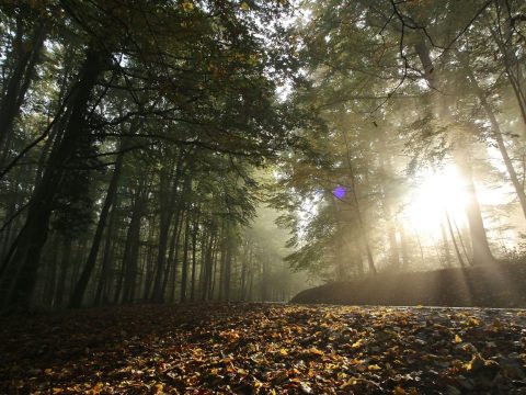 Országszerte lehűlés várható a következő két hétben