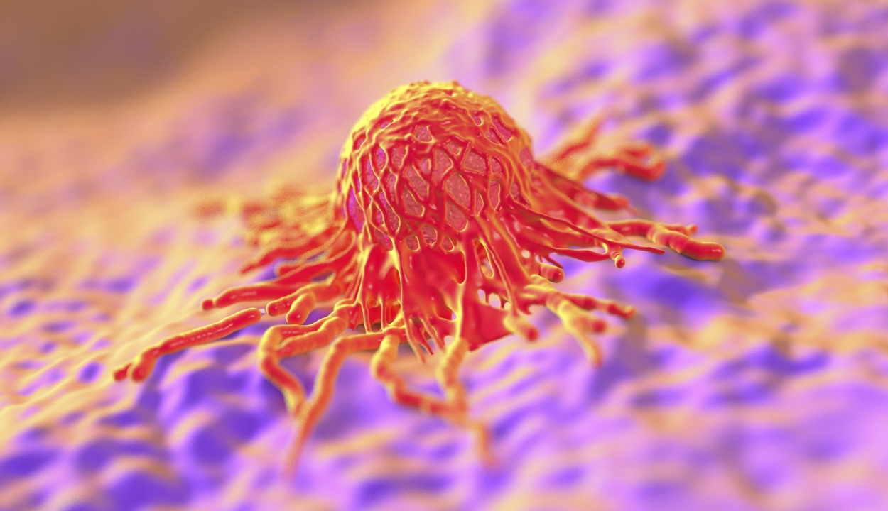 Új terápia segíthet többféle rák legyőzésében