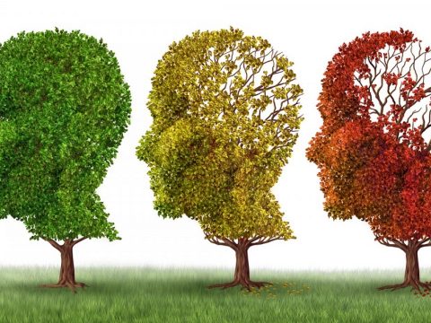 Mesterséges intelligenciával egy nap alatt megállapítható lehet a demencia