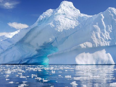 Életre bukkantak az Antarktisz mélyén