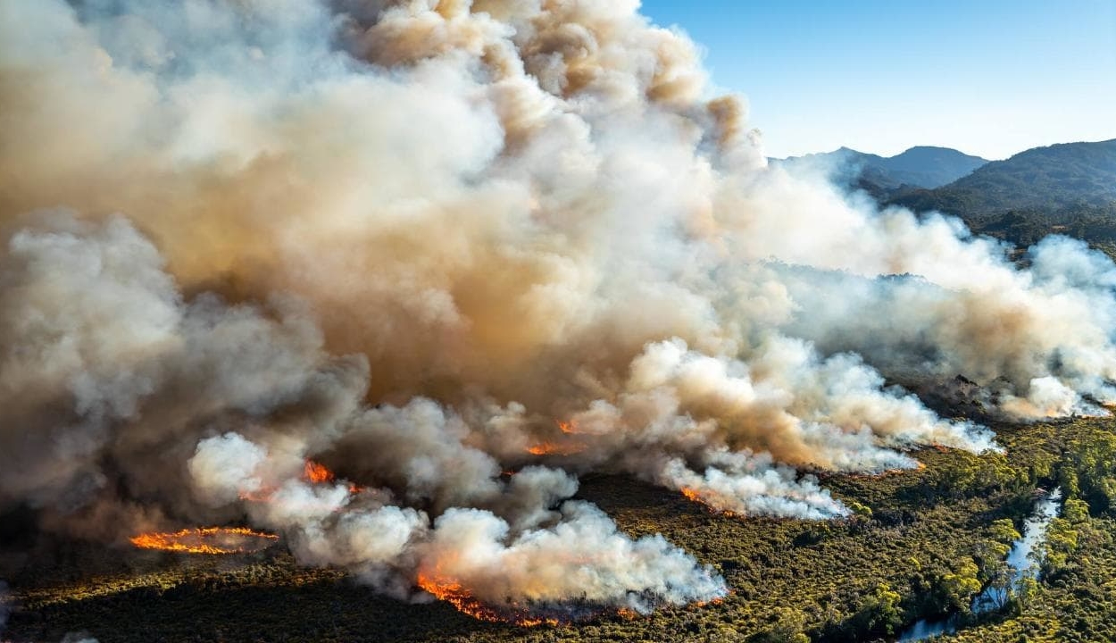 Eddig ötmillió hektárt pusztítottak el a bozóttüzek Ausztráliában