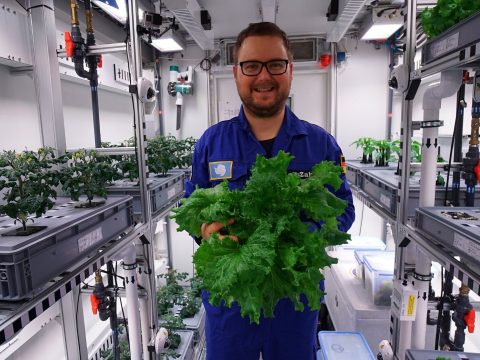 Közel három mázsa zöldség termett az Antarktiszon
