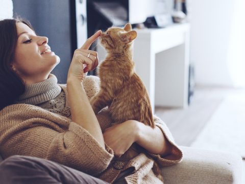 A macskatulajdonosok személyiségvonásai befolyásolhatják házi kedvencük viselkedését