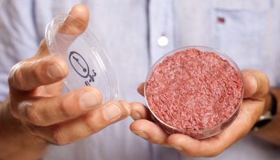 Több kárt okozhat a környezetnek a laboratóriumi hús, mint a marhatenyésztés