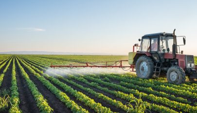 Daea: november 1-jéig a gazdák 80 százaléka megkapja a mezőgazdasági támogatás előlegét