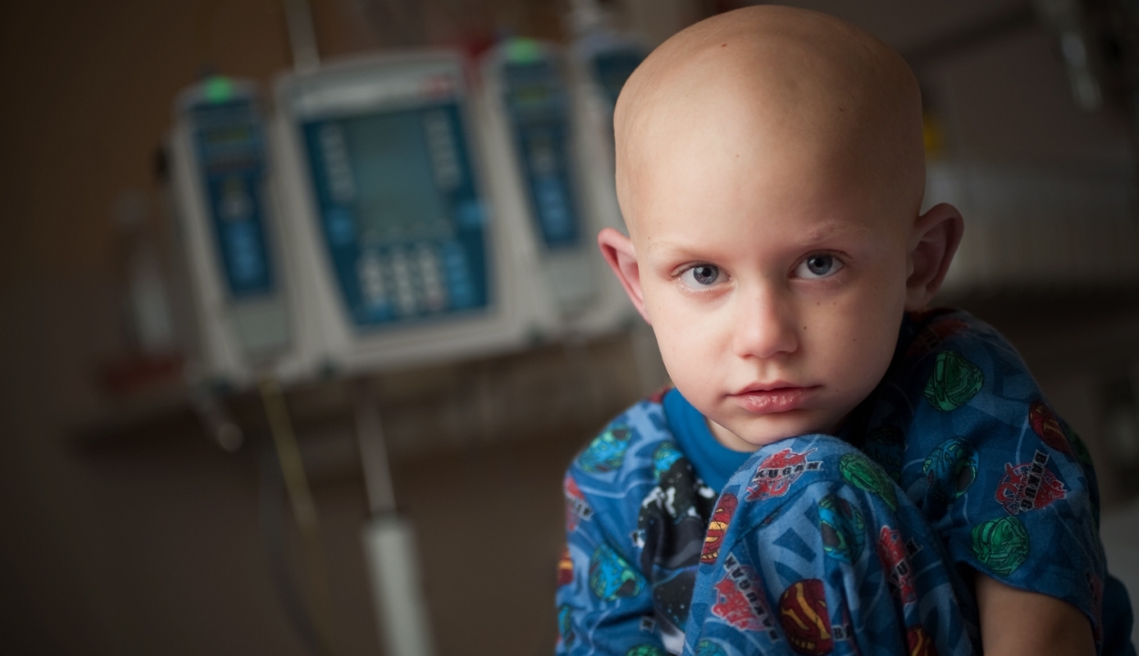 Klinikaigazgató: fontos a kórházi környezet a daganatos gyerekeknél