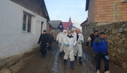 Több mint 140 sertést pusztítottak el Kovászna megyében a sertéspestis miatt