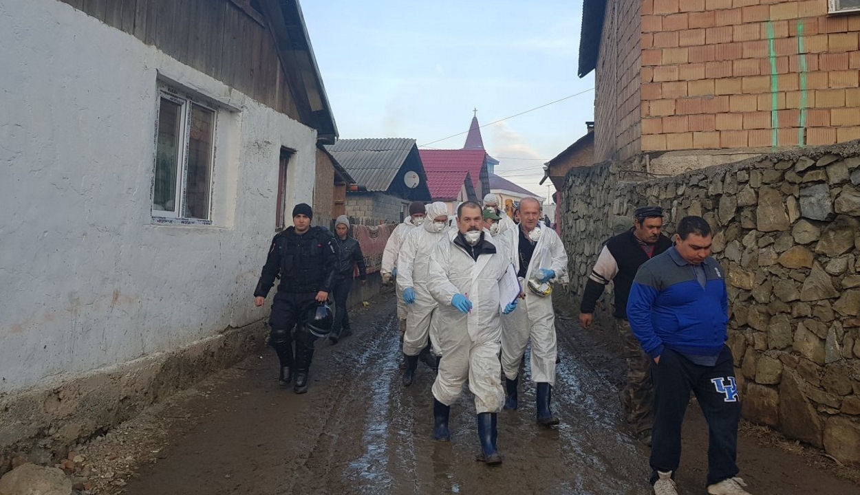 Több mint 140 sertést pusztítottak el Kovászna megyében a sertéspestis miatt