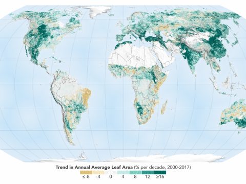 Sokkal zöldebbé vált a Föld az elmúlt húsz évben