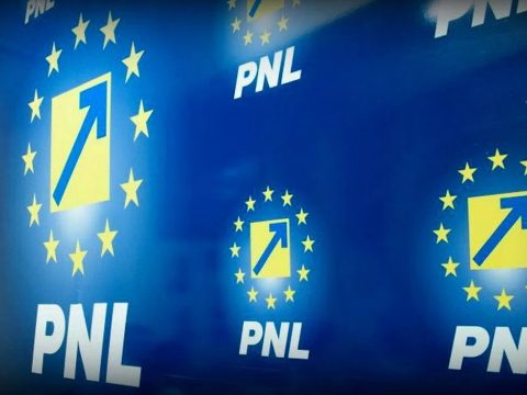 A PNL Viorica Dăncilă lemondását követeli