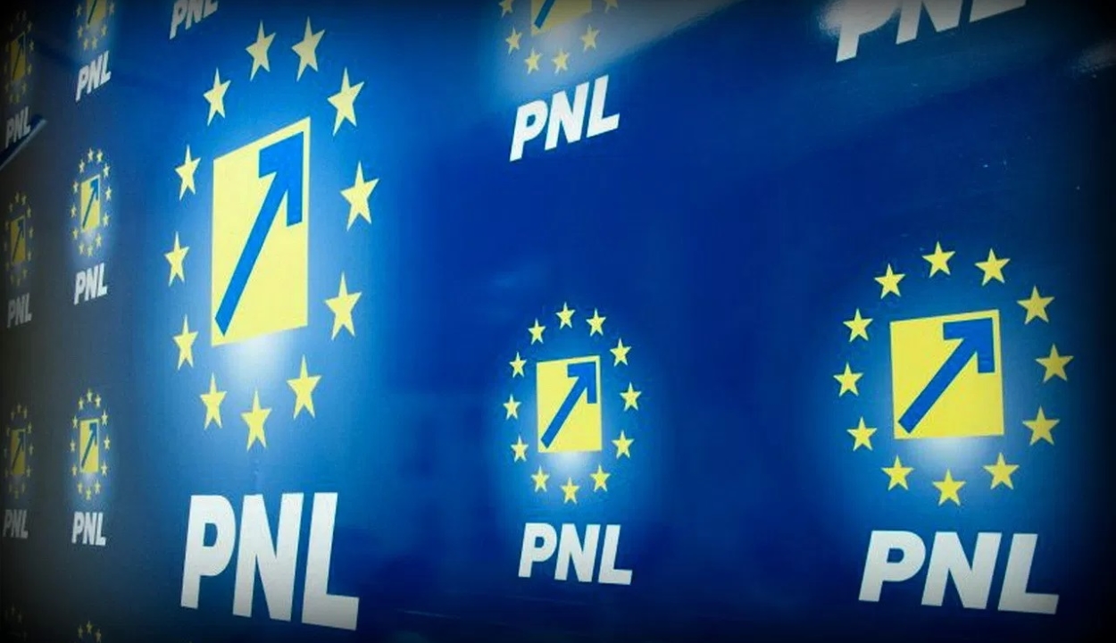 A PNL Viorica Dăncilă lemondását követeli