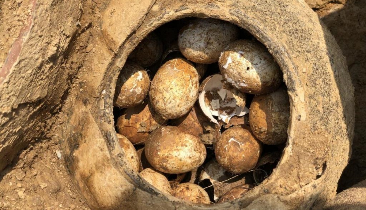 Több ezer éves ép tojásokat találtak egy kínai sírban