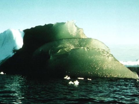 Megoldották az antarktiszi zöld jéghegyek rejtélyét