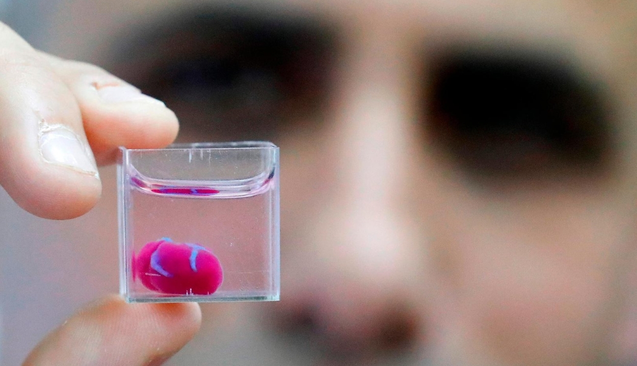 Sejtekkel és véredényekkel is rendelkező szívet nyomtattak izraeli tudósok