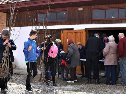 Oltványok a jó gazdáknak