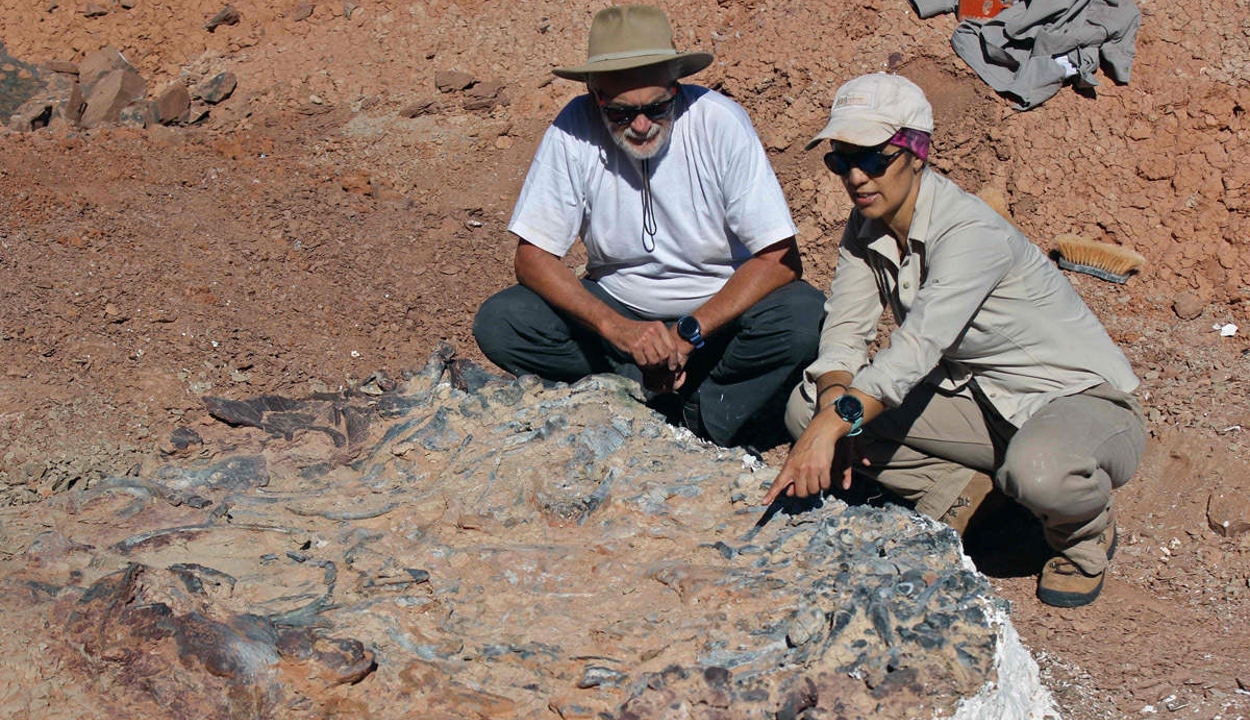 Óriási dinoszaurusztemetőre bukkantak Argentínában