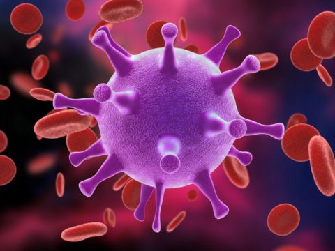 Infektológus: gyakorlatilag lehetetlen védőoltást kifejleszteni a HIV-vírus ellen