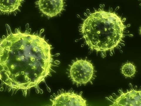 Rég ismert és új fertőző betegségek fenyegetik az emberiséget