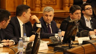 Megtámadta a PNL Florin Iordache kinevezését a Törvényhozási Tanács elnökévé