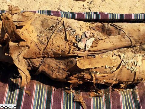 Több tucat múmiára bukkantak Egyiptomban