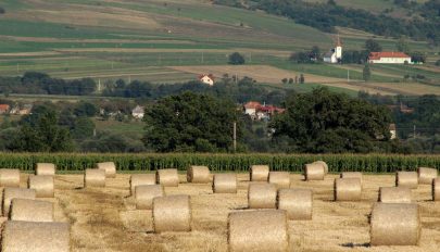 Csaknem tizenháromezer kérést iktattak