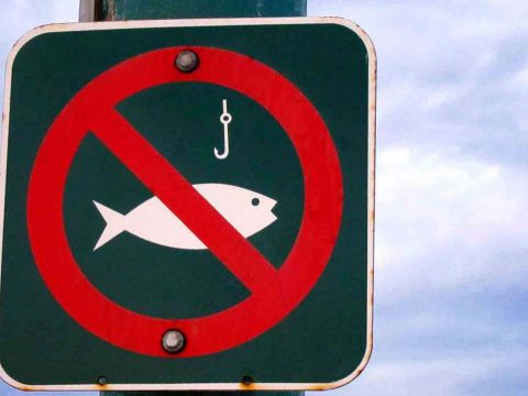 Módosultak a horgászatra vonatkozó jogszabályok