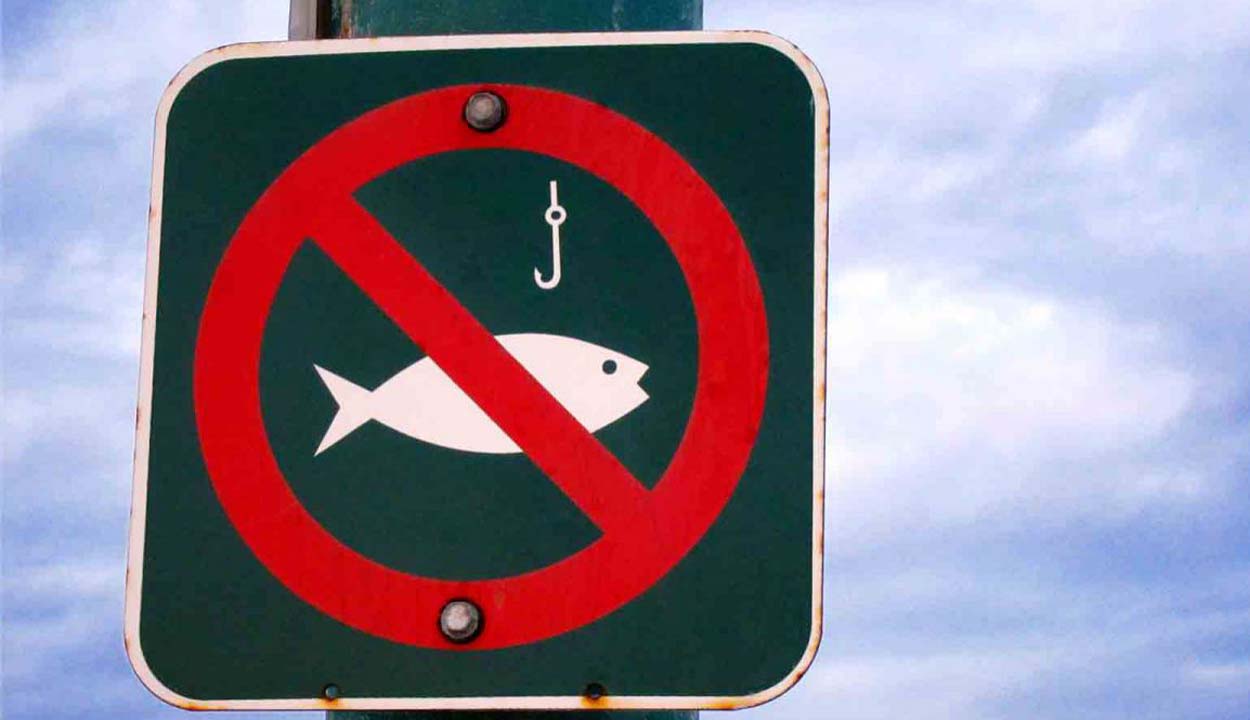 Módosultak a horgászatra vonatkozó jogszabályok