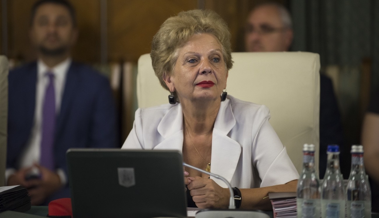 Doina Pană volt miniszter azt állítja, higannyal mérgezték meg