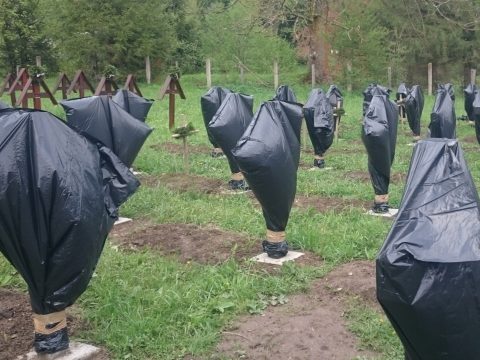 Úzvölgyi katonatemető: házkutatásokat végez a rendőrség Bákó és Hargita megyében