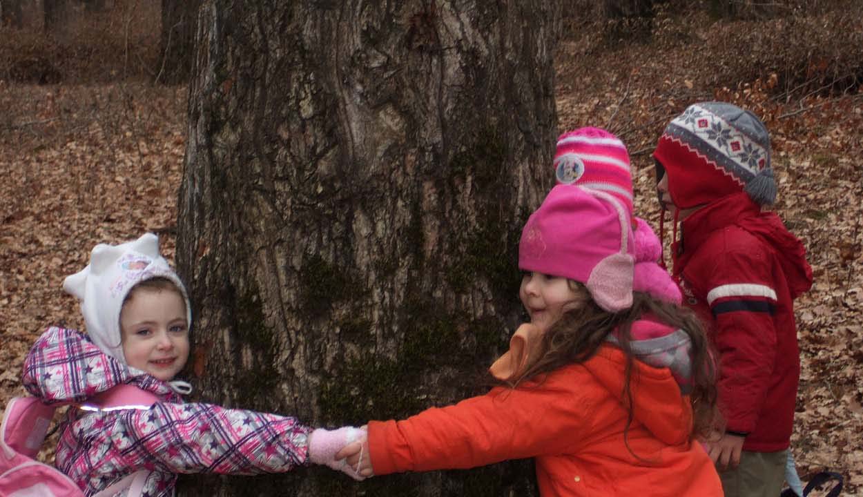 Elnyerte a Zöld Óvoda címet a Hófehérke