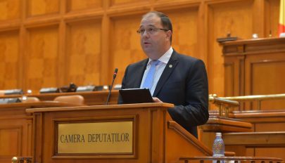 Úzvölgyi incidensek: a PMP szerint az RMDSZ provokált feszültséget