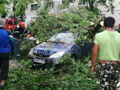 Országszerte több száz fát döntött ki, tetőket rongált meg a csütörtöki vihar