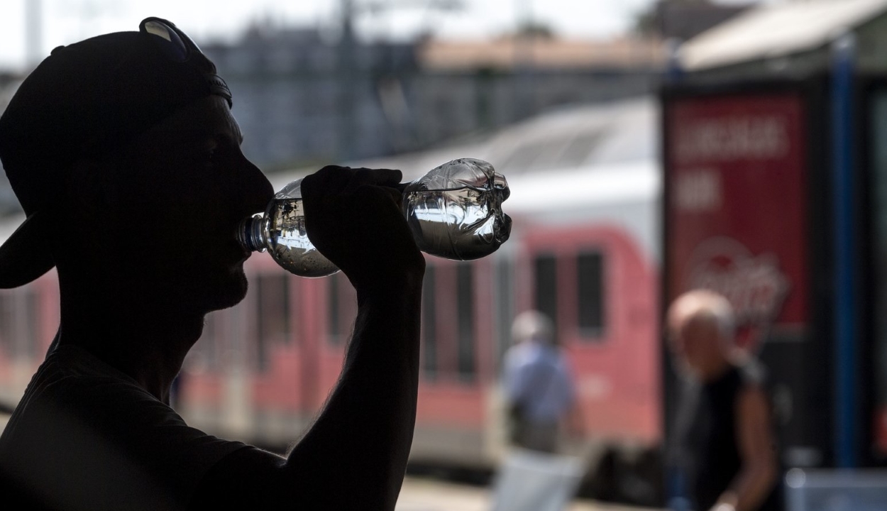 Egy bankkártyányi műanyagot nyelünk le hetente