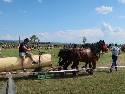 Falunap Köpecen