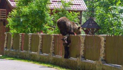 Negatív hatása van a turizmusra