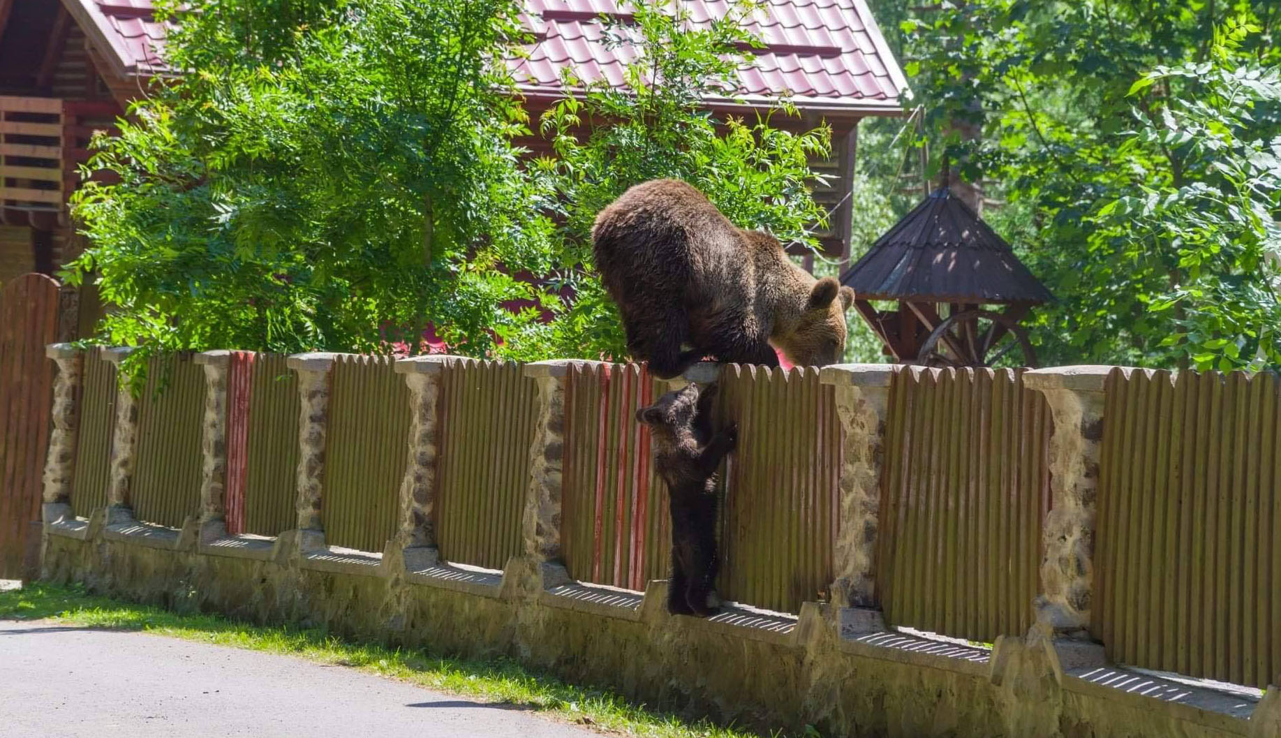 Negatív hatása van a turizmusra