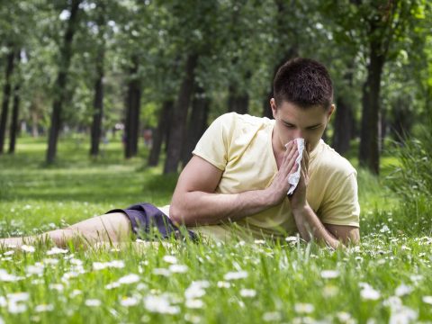 Szakértő: kezelni kell az allergiás tüneteket