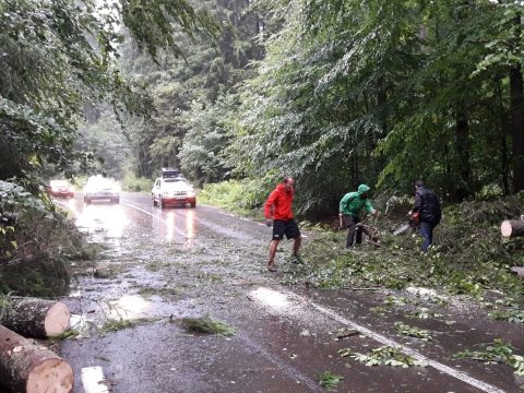 Fákat döntött ki a vihar Háromszéken, leállt a vasúti forgalom Bükszád és Málnás között