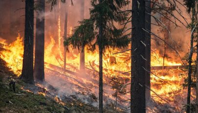 Putyin elrendelte a hadsereg bevetését a szibériai eredőtüzek ellen