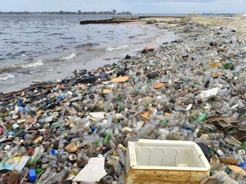 Európai Bizottság: EU-s kampány keretében tisztítják meg a világ tengerparti strandjait