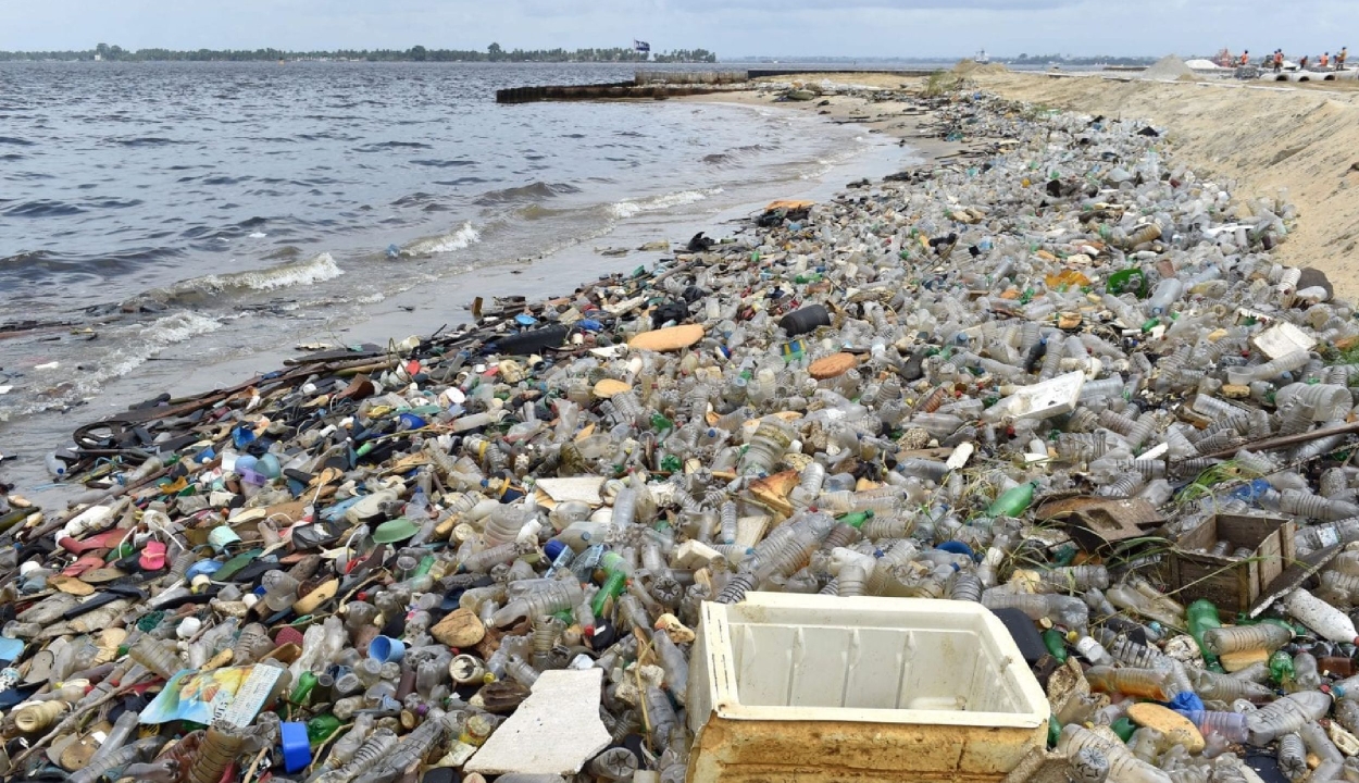 A műanyag élelmiszer-csomagolás volt a leggyakoribb szemét a tengerpartokon tavaly