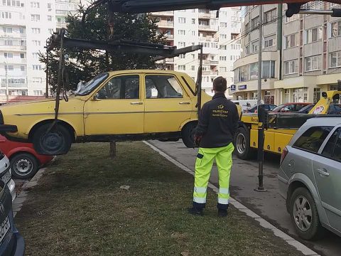 Gombamód szaporodó roncsok