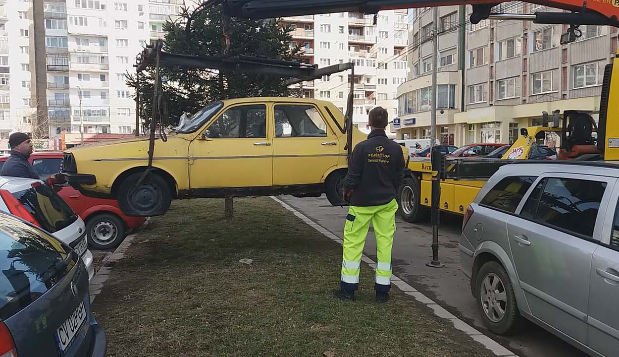 Gombamód szaporodó roncsok