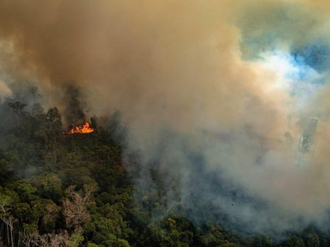 Folyamatosan küzdenek a lángokkal az Amazonas őserdőben