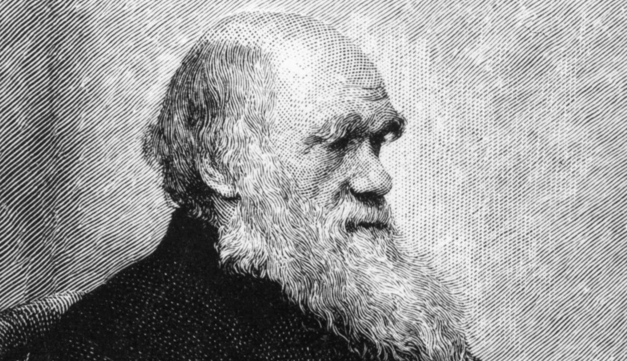 Egy orosz pap szerint, Darwin visszavonta tanait
