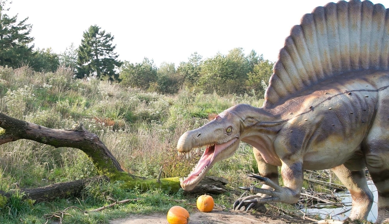 Új dinófajt találtak
