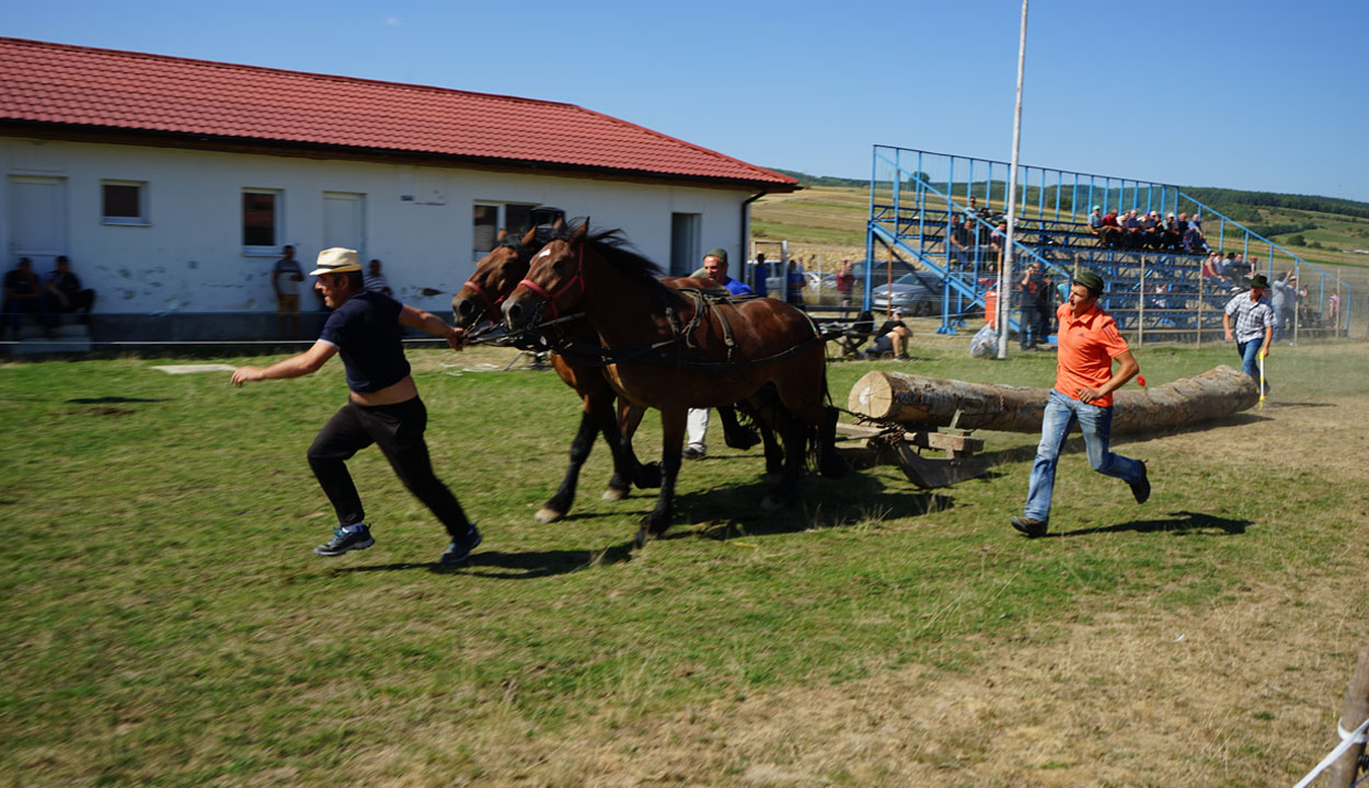 A tizenhatodik Septemberfest