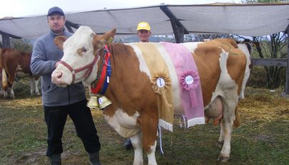 Agrofest Kovásznán