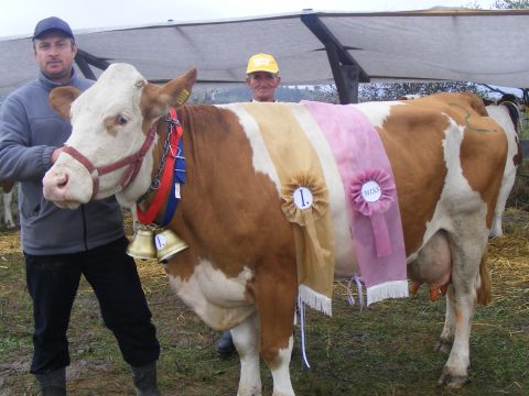 Agrofest Kovásznán